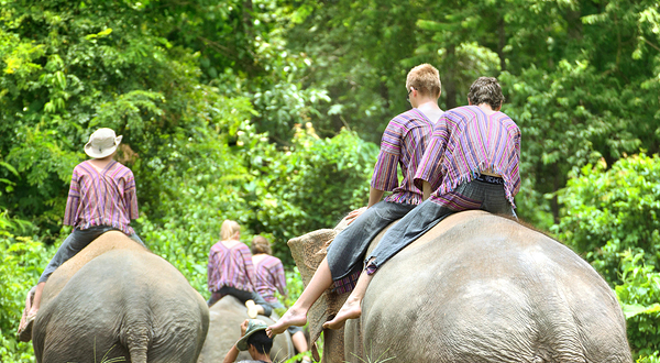 帕塔拉大象农场