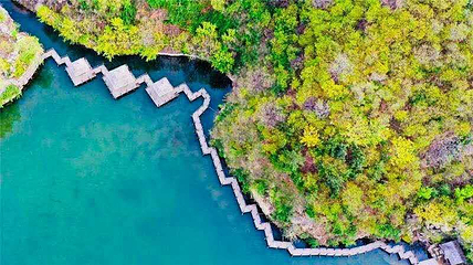 九如山休闲旅游度假区第 200 张图片