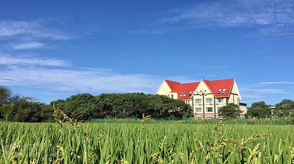 山阳田园第 3 张图片