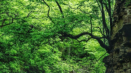 焦作市云台山风景名胜区-小寨沟景区第 8 张图片
