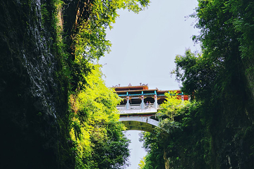 云龙地缝第 27 张图片