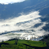 撒玛坝万亩梯田景区