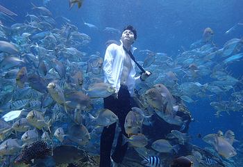 海棠湾潜水第 5 张图片