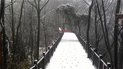 南华山神凤文化景区第 21 张图片