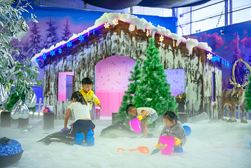 飘雪世界第 28 张图片