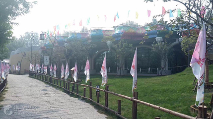 西纸坊黄河古村第 2 张图片