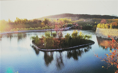 樱花山风景区第 36 张图片