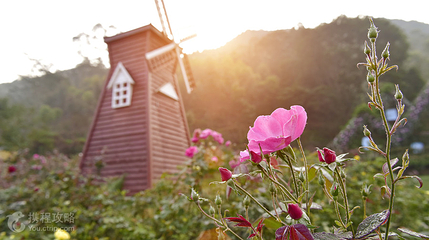 茶山樱花谷主题景区第 8 张图片