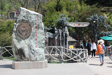 王顺山国家森林公园第 13 张图片