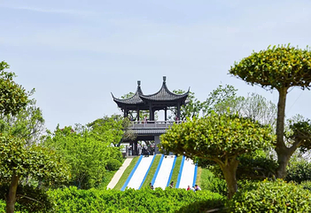 运河三湾风景区第 10 张图片