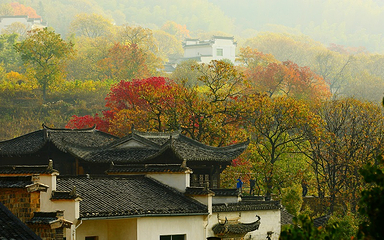 塔川第 95 张图片