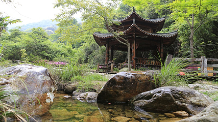 雁南飞茶田景区第 45 张图片