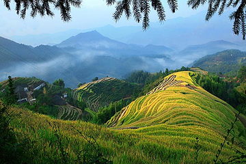 宜春明月山旅游区第 27 张图片