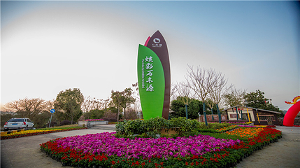 炫彩万木源第 38 张图片
