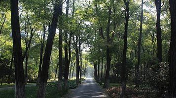 北京绿色度假村