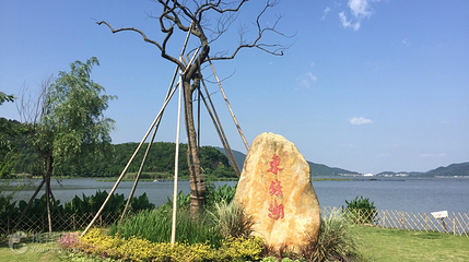 东钱湖上水帐篷营地第 4 张图片
