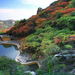 紫云山景区