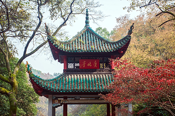 岳麓山第 17 张图片