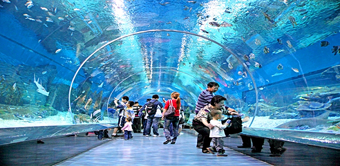 海合安武汉极地海洋公园第 438 张图片