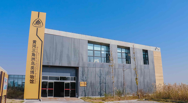黄河三角洲鸟类博物馆