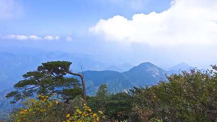 三清山东部(金沙)索道第 18 张图片