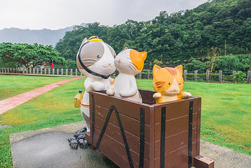 猴硐猫村第 6 张图片