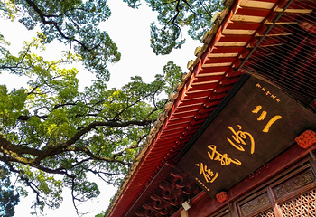 阿育王寺第 43 张图片