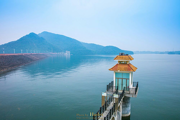 南湾湖风景区第 13 张图片
