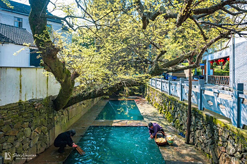 千年古村方家河头第 5 张图片