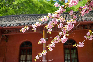 琅琊寺第 27 张图片