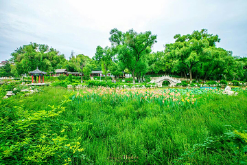 范公亭公园第 16 张图片