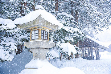 北海道神宫第 7 张图片