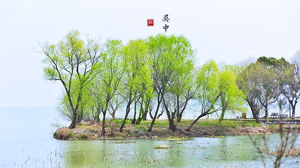 禹王庙第 3 张图片