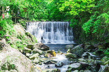 醉山野景区第 1 张图片