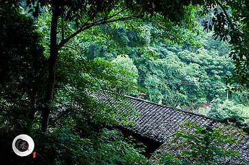 马岭河峡谷景区第 37 张图片