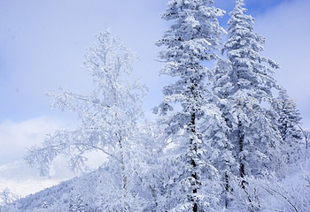 亚雪驿站十里画廊第 22 张图片