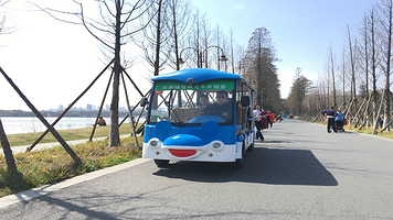 东湖绿道观光车