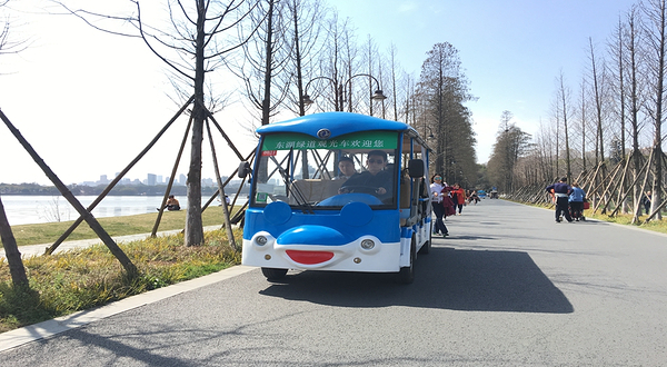 东湖绿道观光车