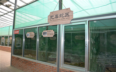 烟台蛇博园第 35 张图片