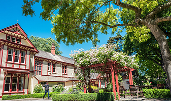 里卡顿丛林与里卡顿木屋