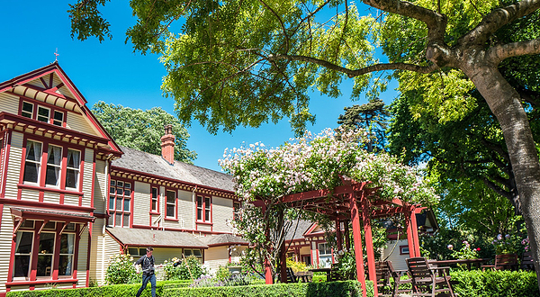 里卡顿丛林与里卡顿木屋