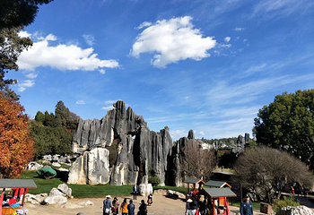 石林风景区第 249 张图片