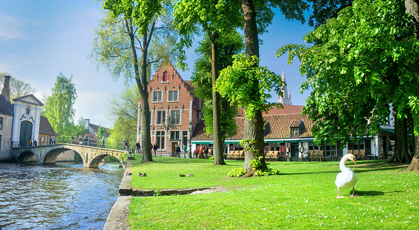 葡萄园皇家贝居安会院