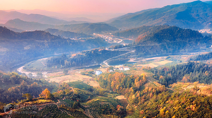 坡山村第 3 张图片