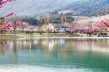 香山景区第 48 张图片