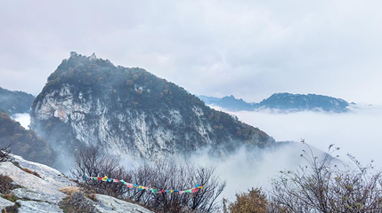 嘉午台第 1 张图片