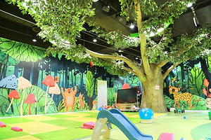 中国宋庆龄青少年科技文化交流中心