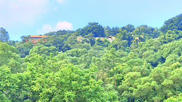 黄岐山森林公园