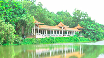 十八罗汉山森林公园