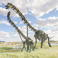 二连浩特国家地质公园